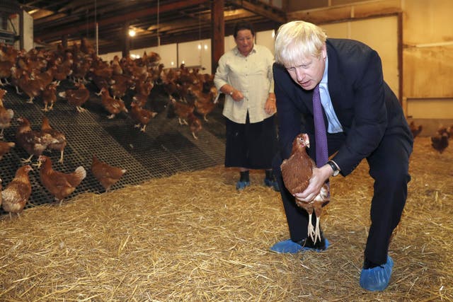Boris Johnson tries to woo Welsh farmers on his first visit to the country as prime minister
