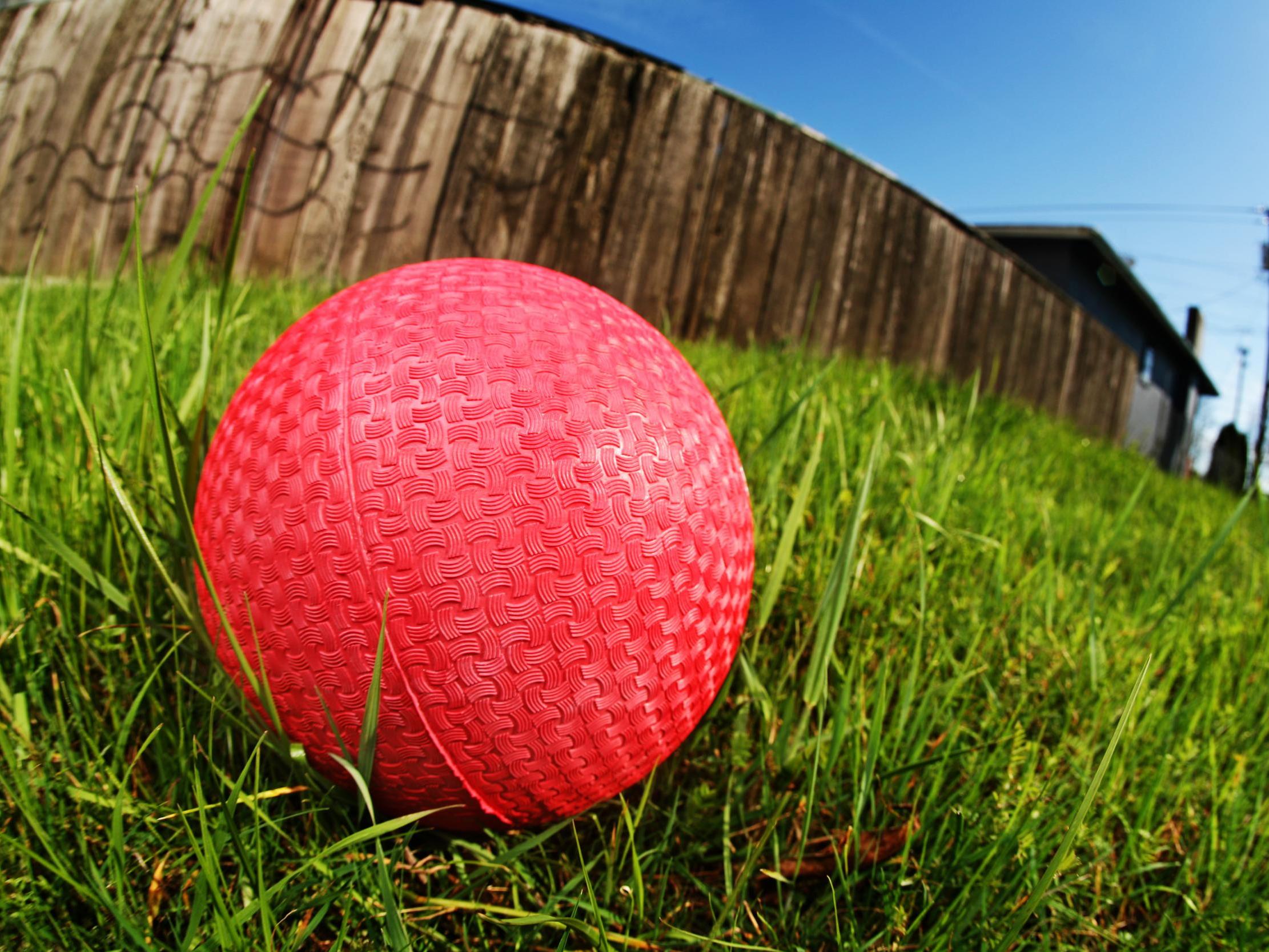 Игра мяч на траве. Мяч. Мячик на траве. Мячик на травке. Детский мячик на траве.