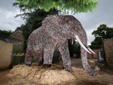 This Life-sized elephant is made out of 30,000 used batteries