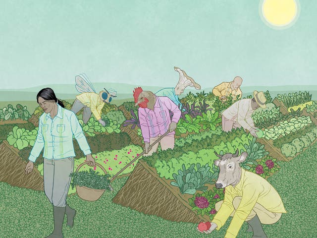 Perennial Farming' vision of a renewable food system that prioritizes soil, involves animals, mycelia, and other organisms