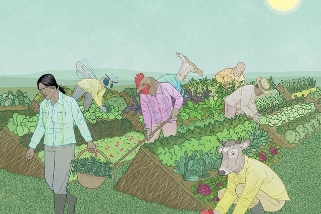 Perennial Farming' vision of a renewable food system that prioritizes soil, involves animals, mycelia, and other organisms
