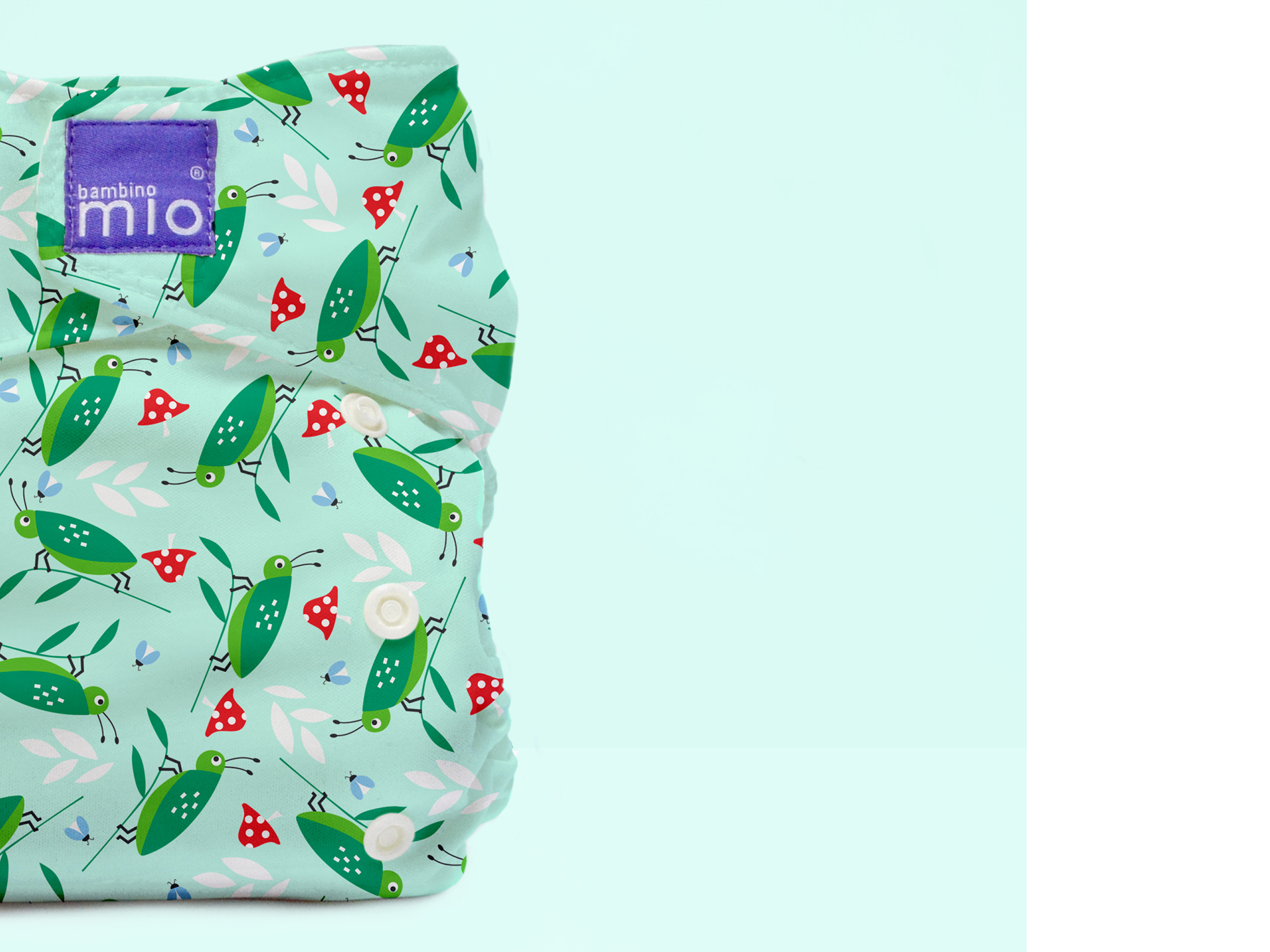 best all in one reusable nappy