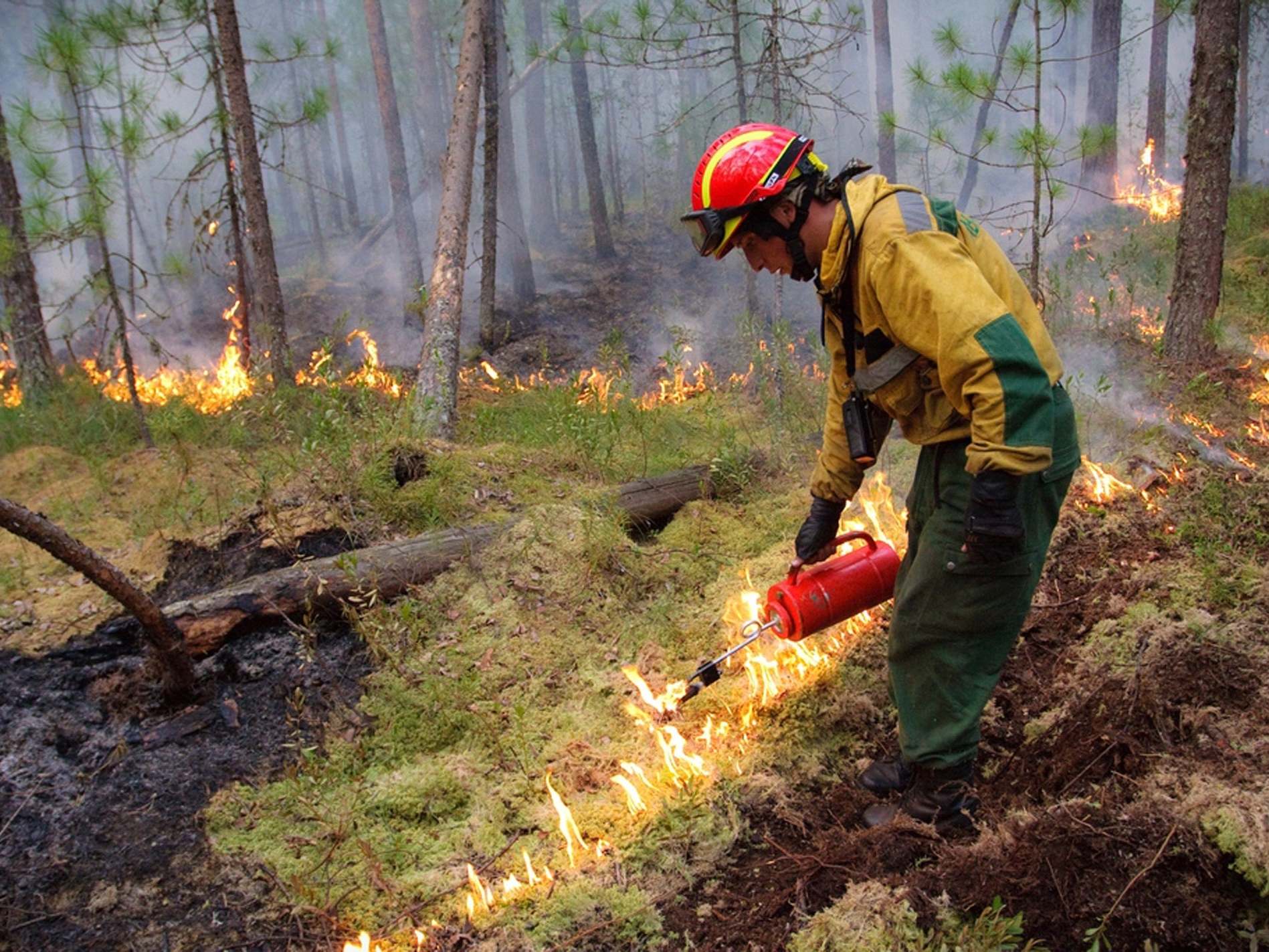 Russian emergency crews fight wildfires in Krasnoyarsk region of Siberia