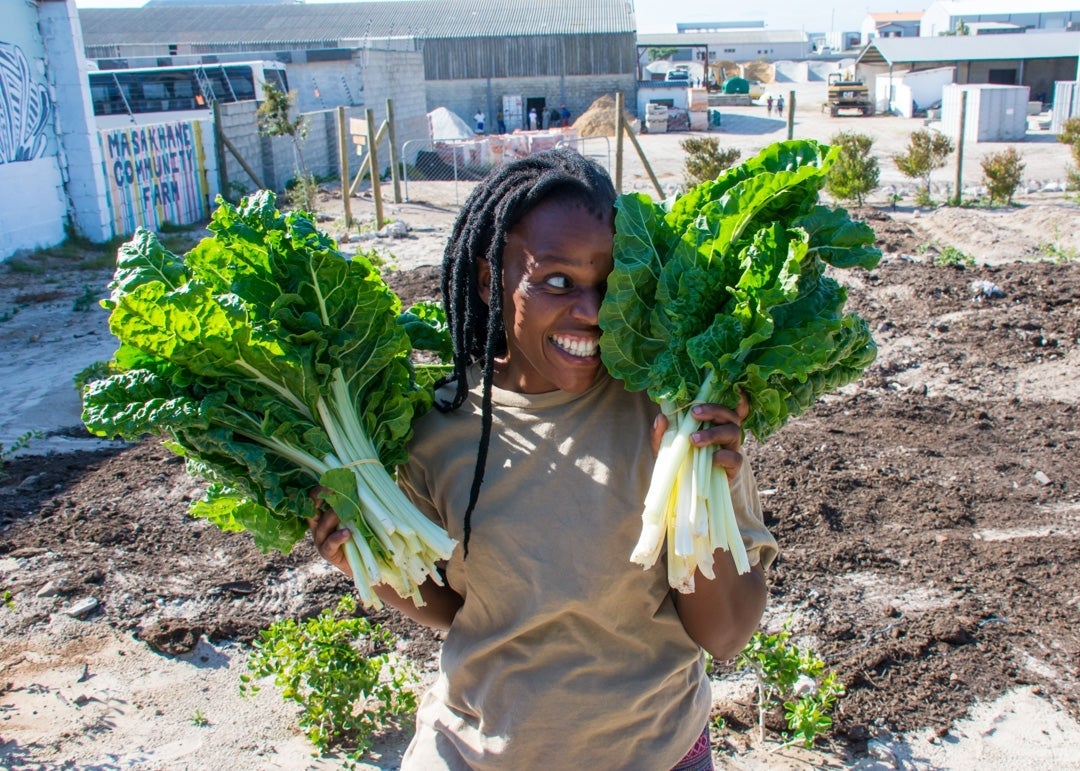 Women are given the chance to grow their own produce at Grootbos