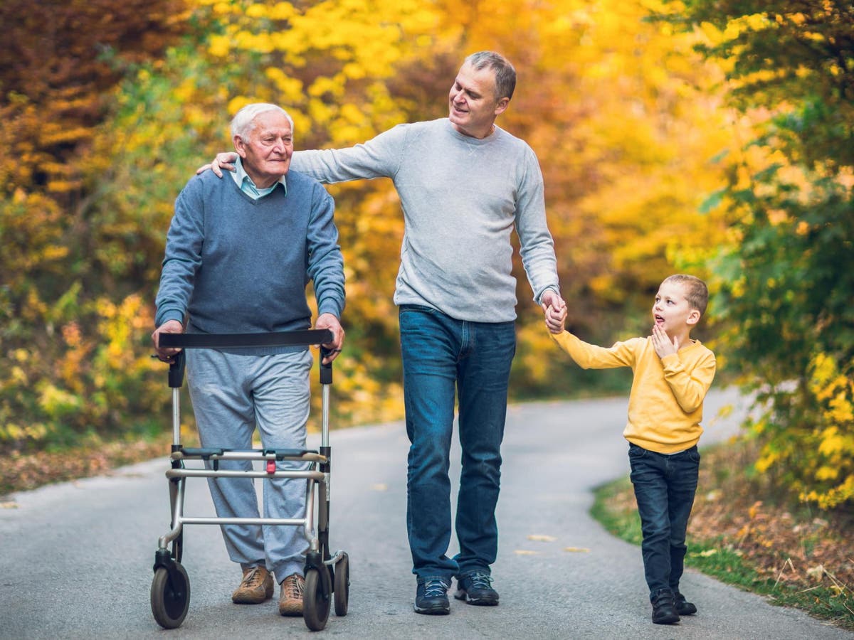 Seeing friends regularly lowers dementia risk, study suggests