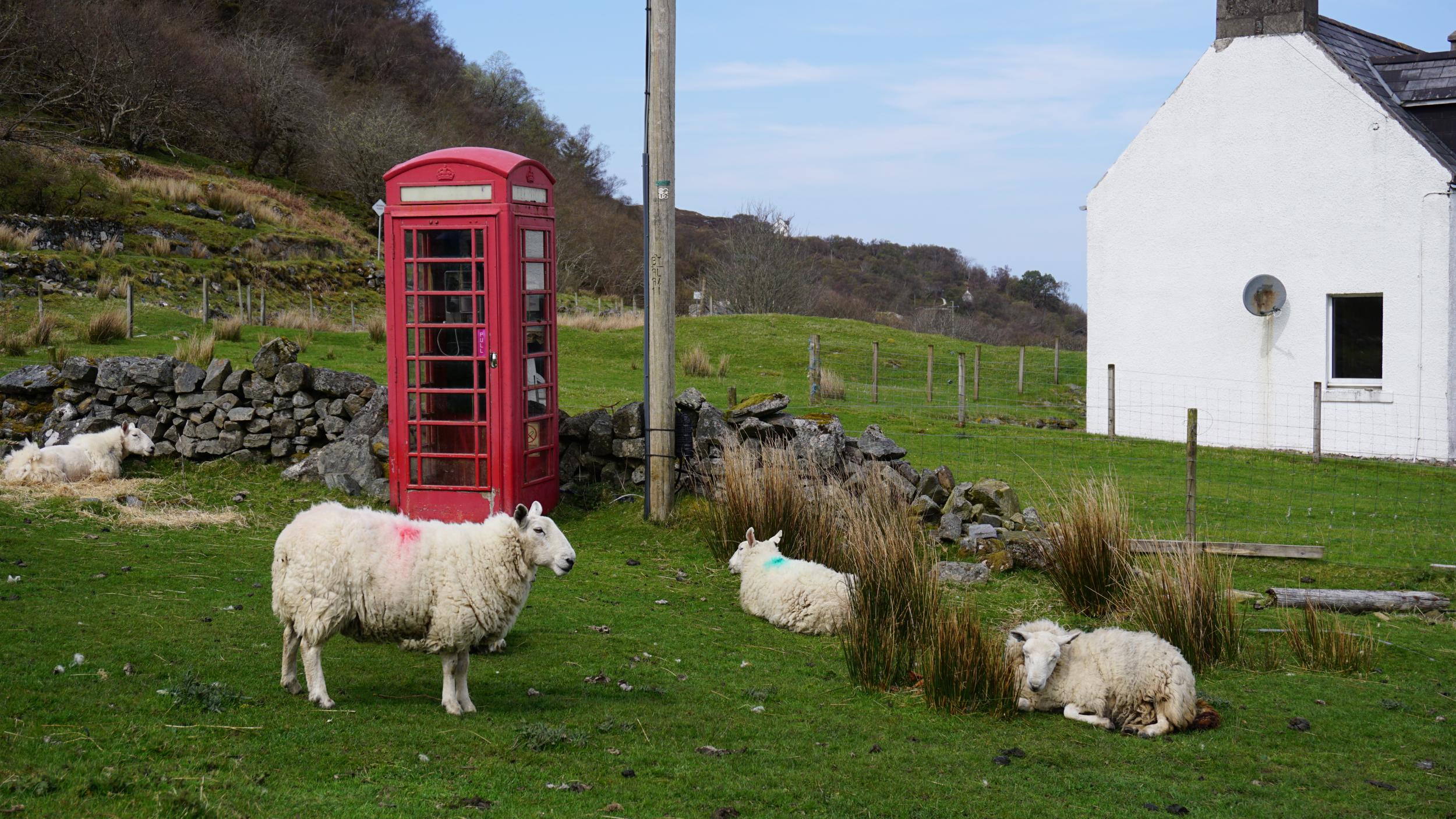 The key to rural life is a balance between isolation and communication