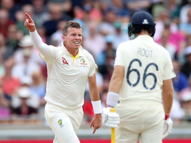 Peter Siddle celebrates taking the wicket of England's Joe Root