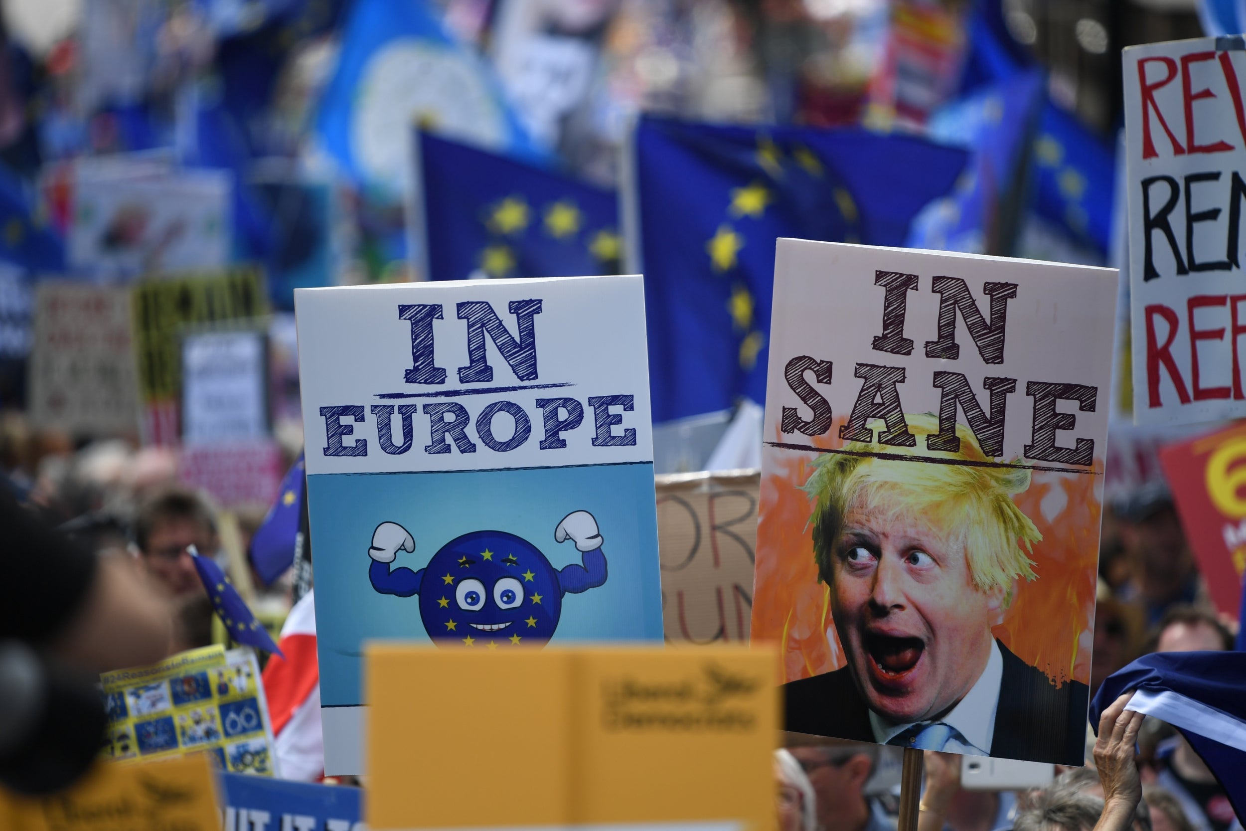 Brexit Second Referendum Campaigners To Target 100 Seats At Next   Johnson March 