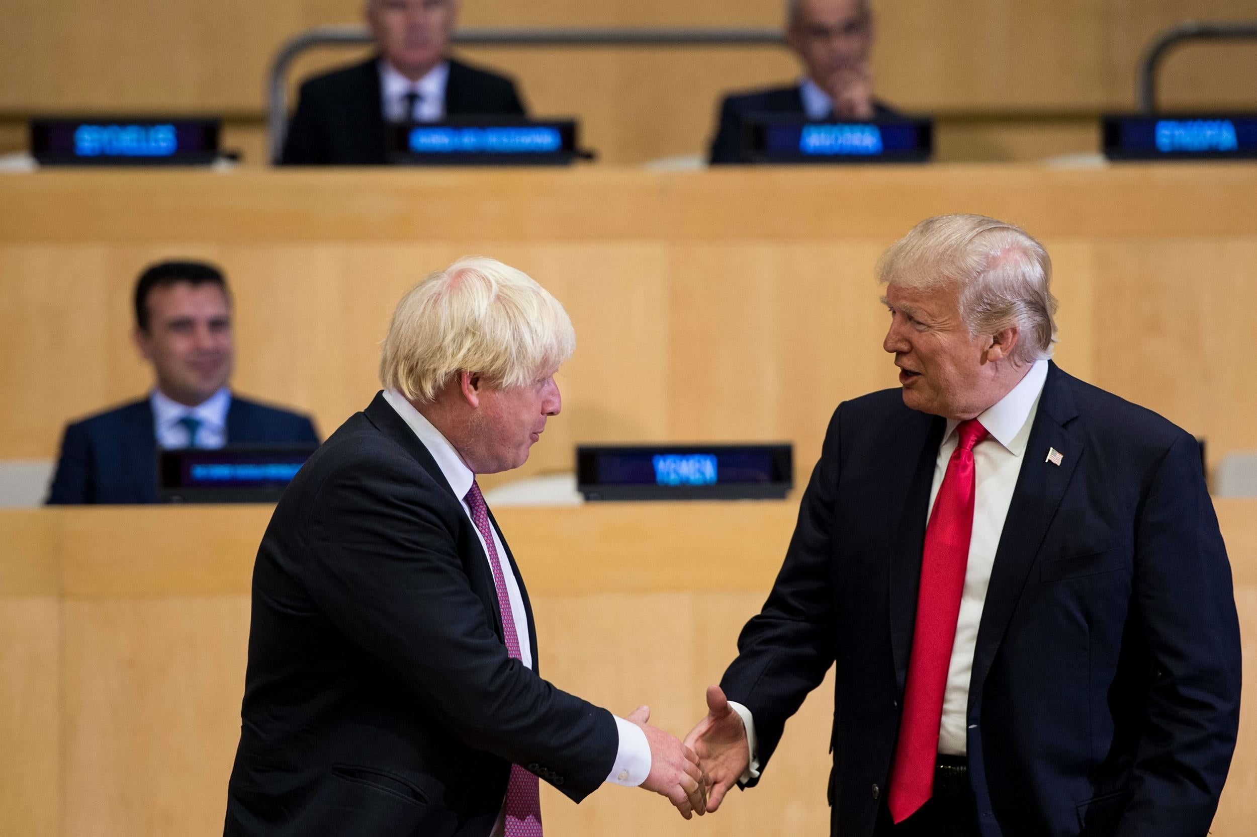 Mr Trump has called Mr Johnson a 'good guy'