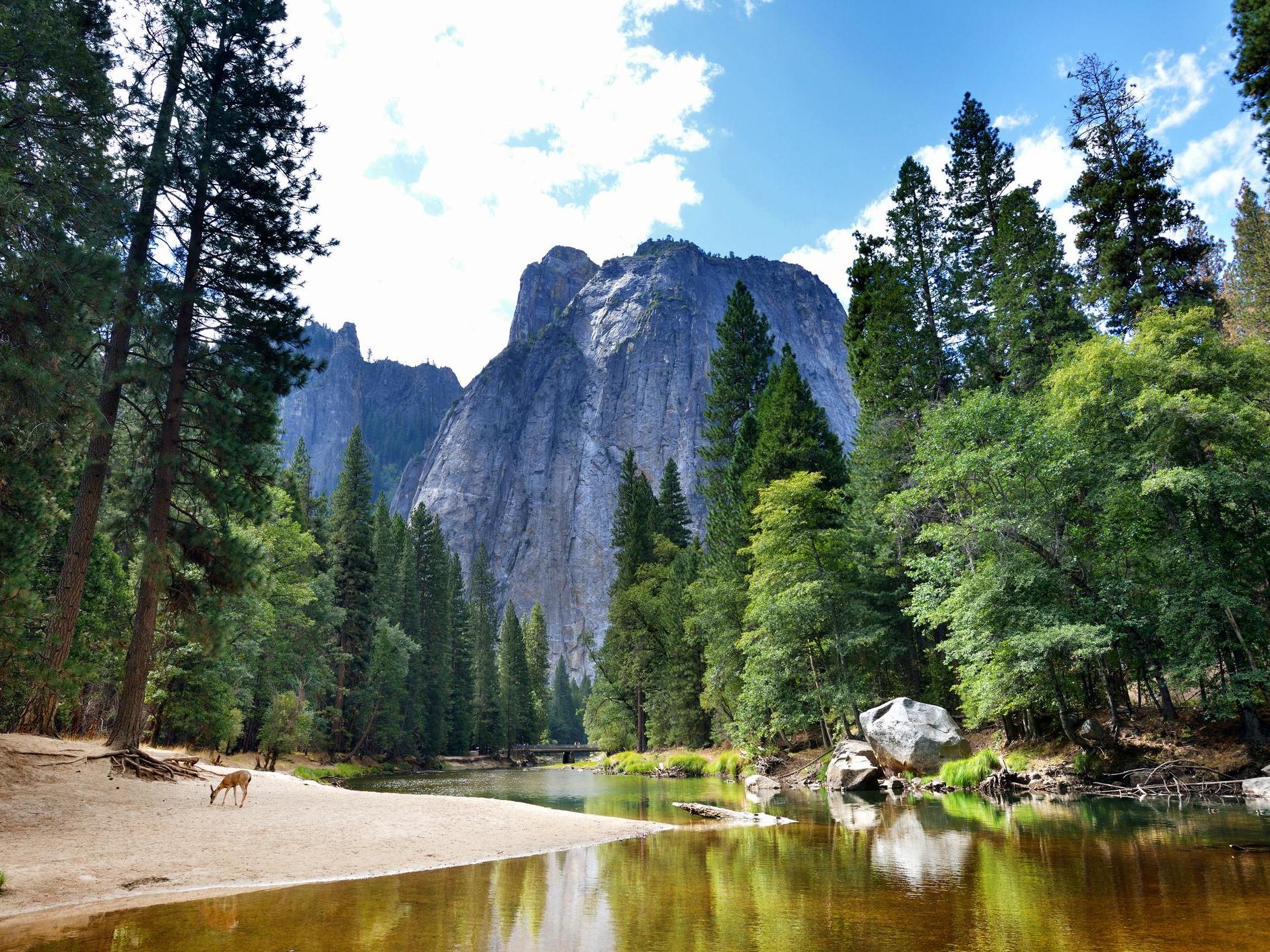 Yosemite National Park covers more than 1,000 square miles, with 95 per cent of its land designated wilderness (Getty)