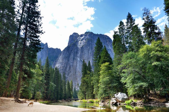 Romanian tourist Lucian Miu fell after scrambling on wet rocks below Bridalveil Fall at Yosemite National Park on Wednesday