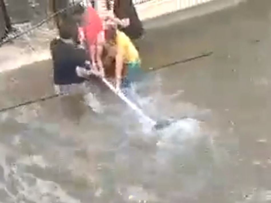 Crocodile swims through streets of flooded city sparking panic