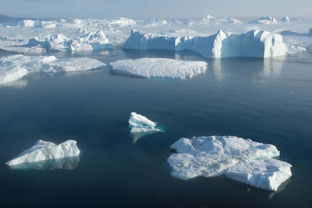 Icebergs float in the Ilulissat Icefjord during a week of unseasonably warm weather on 3 August 2019