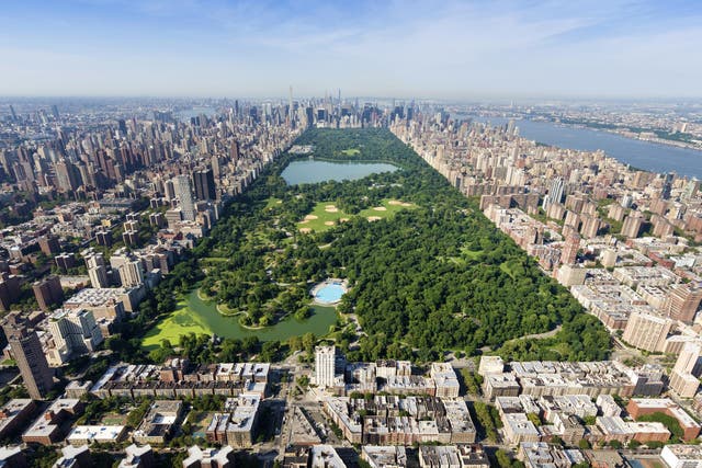 Central Park: the lungs of New York City