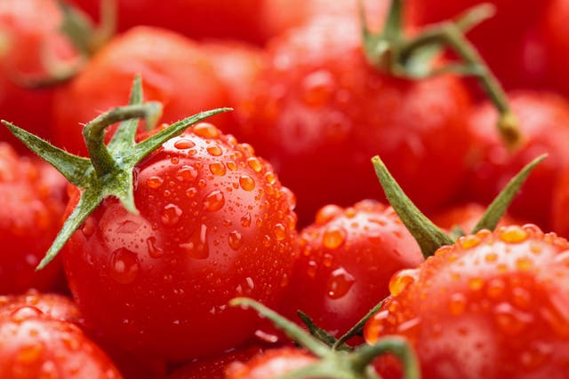 Cherry tomatoes highlight the freedom of trade within the EU