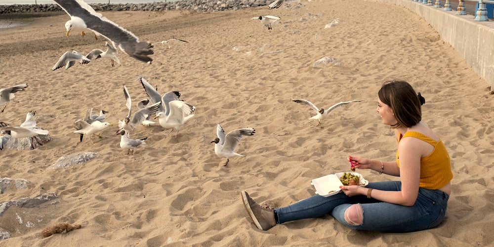 Scientists have figured out how to stop seagulls nicking your food