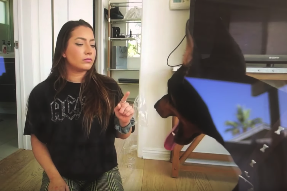 Brooke Houts accused of animal cruelty