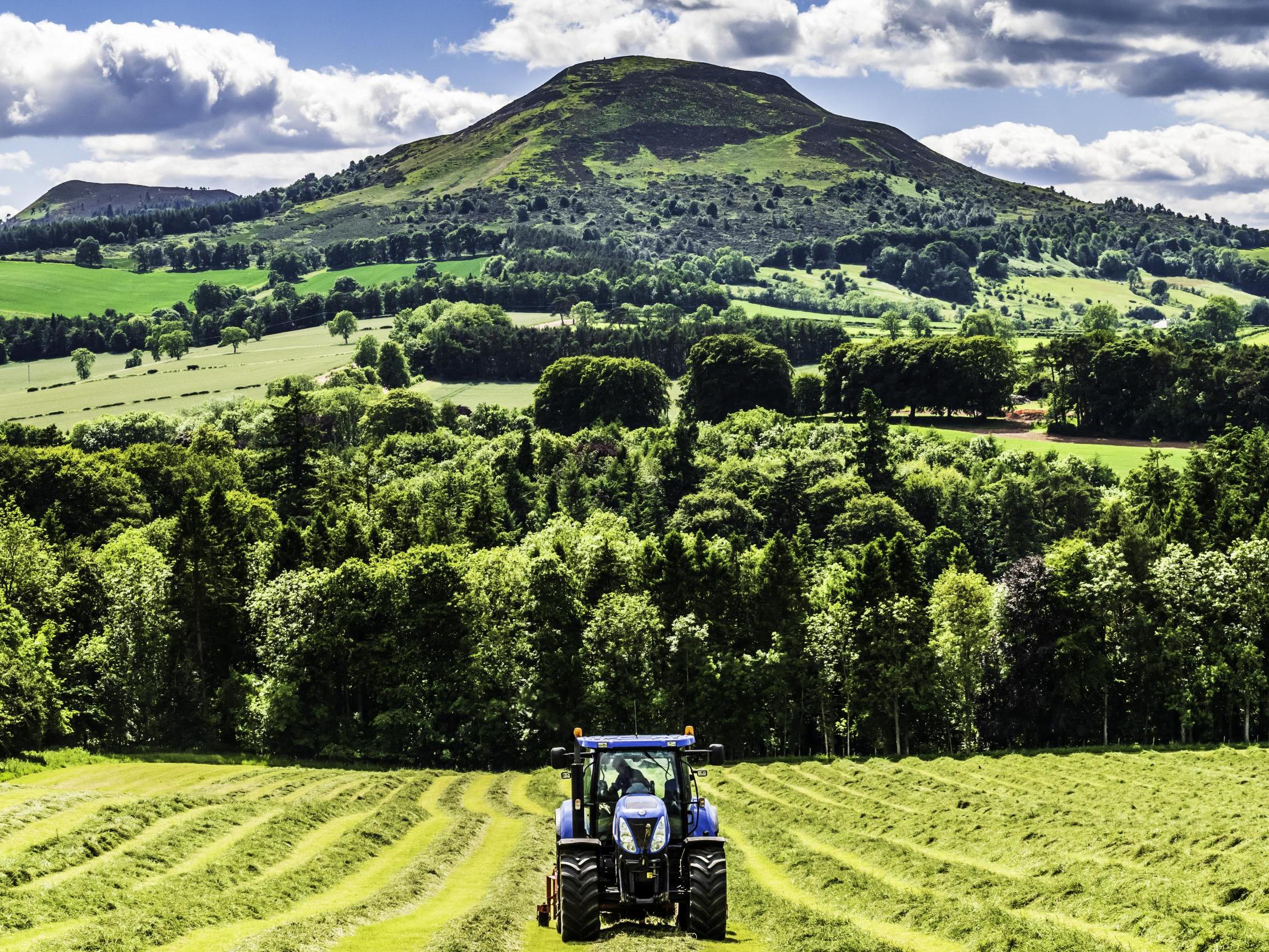 The IPCC's findings show UK farmers urgently need to take better care of the land. Pictured is a farmer cutting silage in the Scottish Borders