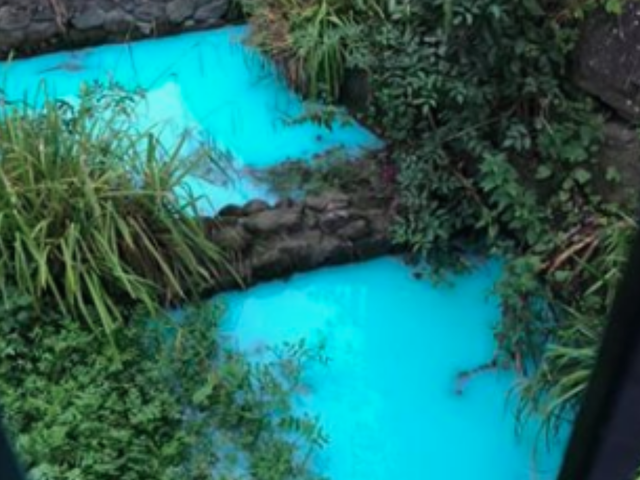 A tributary of the River Frome has turned bright blue.