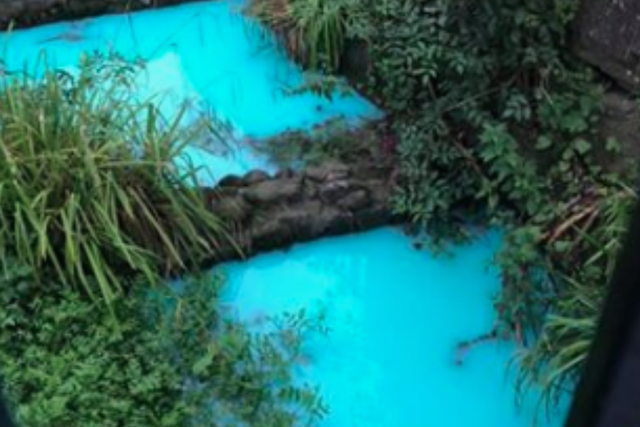 A tributary of the River Frome has turned bright blue.