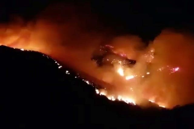 Hundreds reportedly evacuated as wildfires grip holiday island of Gran Canaria