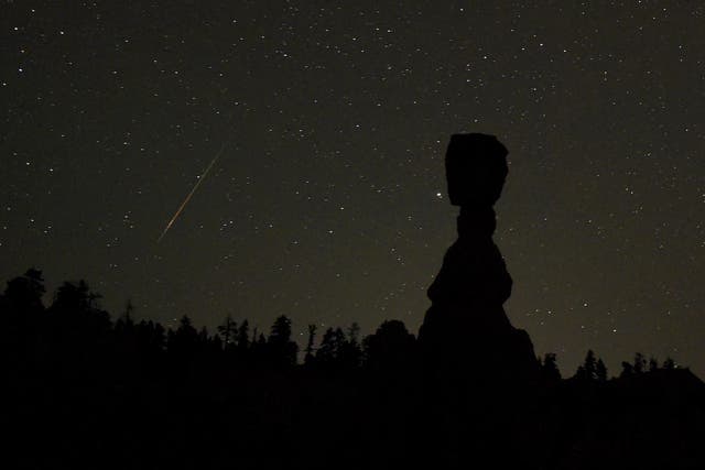 A Perseid meteor streaks across the sk early on August 13, 2016 in Bryce Canyon National Park, Utah