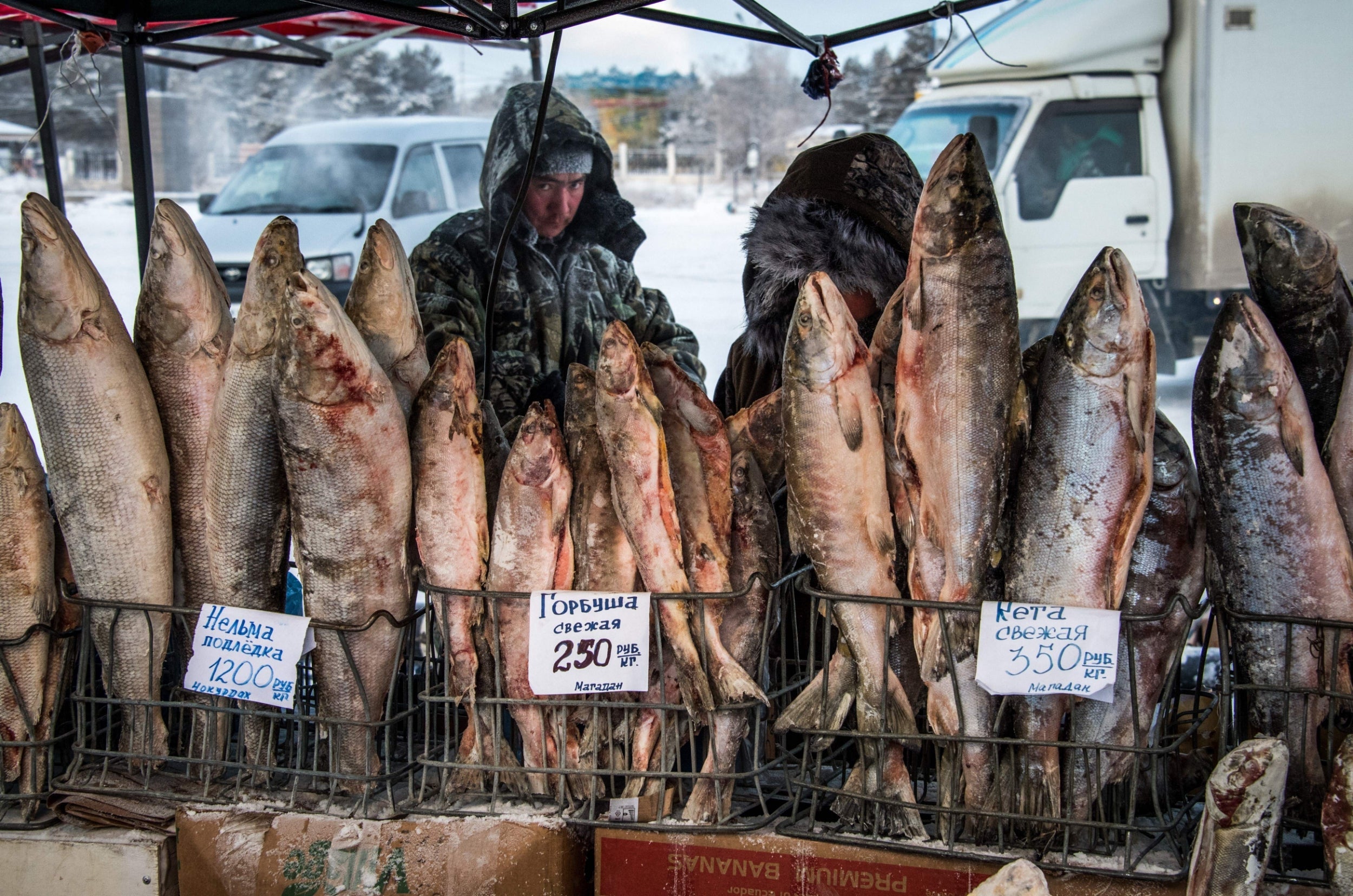 Yakutia villagers bemoan relying on their own resources to adapt to climate change