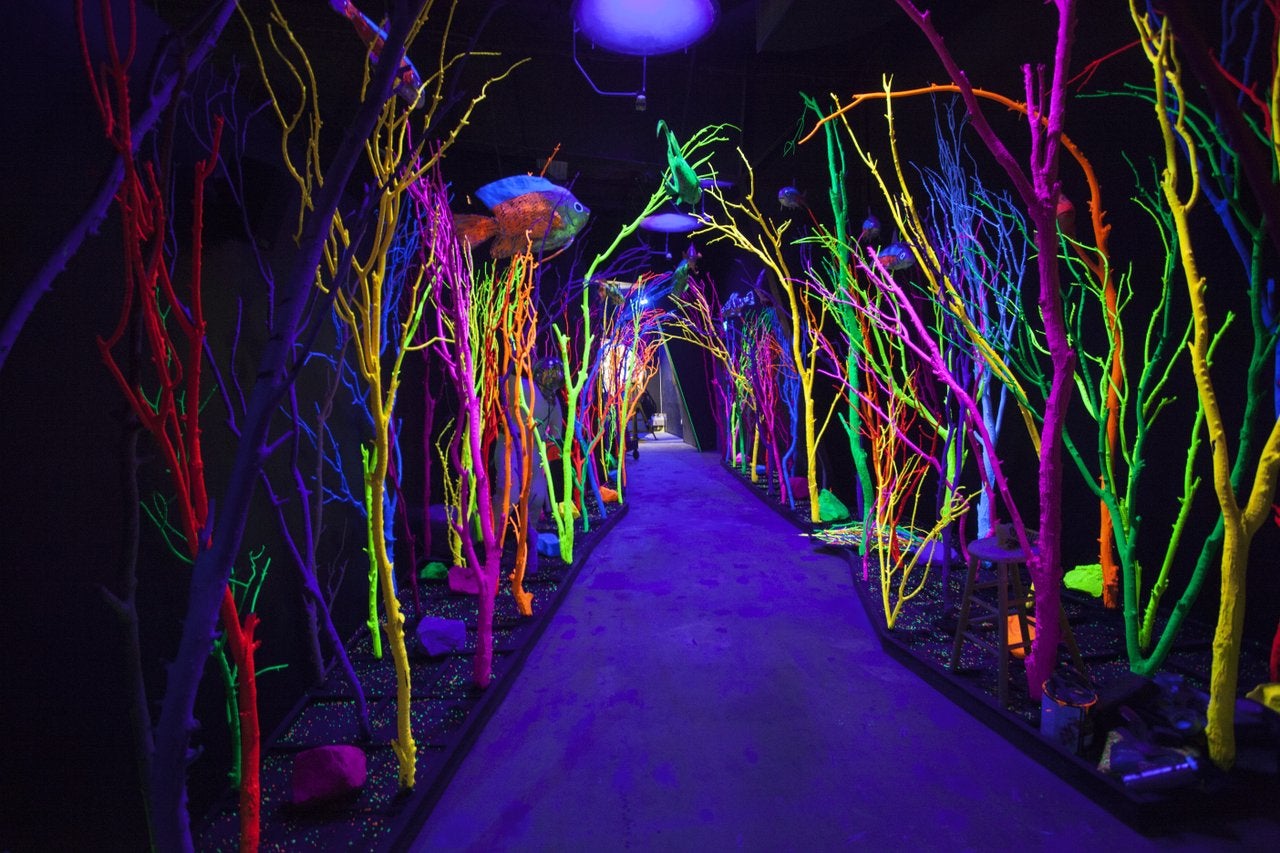 An installation at Meow Wolf in Santa Fe, New Mexico
