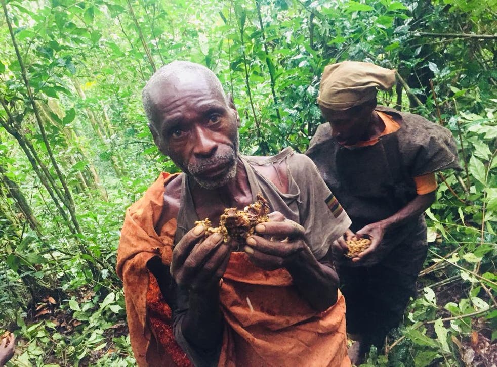 Batwa are hunter gatherers, surviving on food including honey