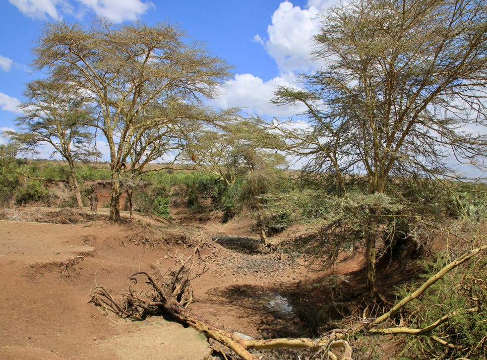 Drought and climate change leaves many rivers dry in Kenya.