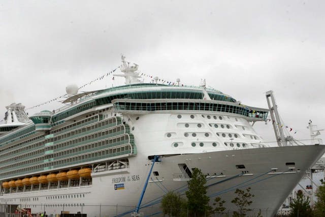This photo shows the Freedom of the Seas, a cruise ship in the Royal Caribbean fleet