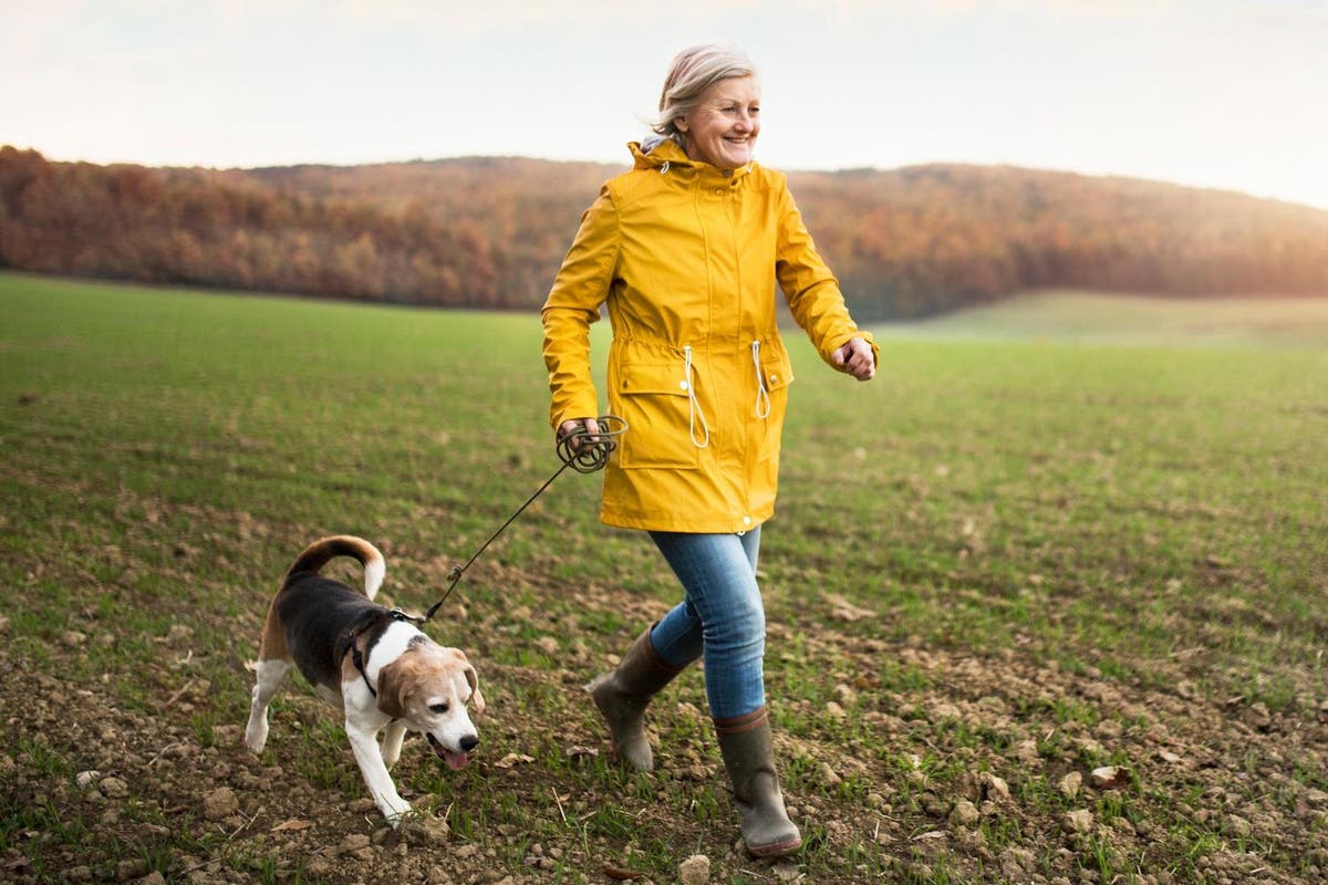 Lyme disease most common in older women who live in rural areas