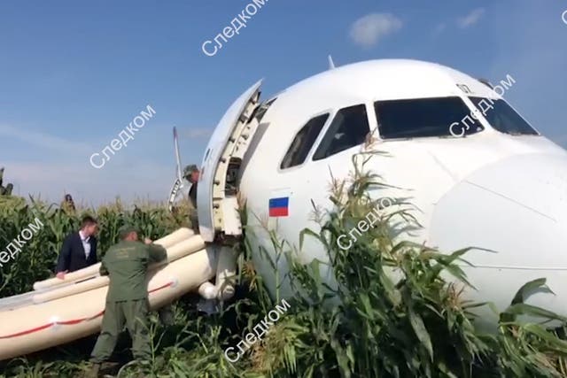 A Russian plane crash landed in a cornfield after colliding with a flock of birds