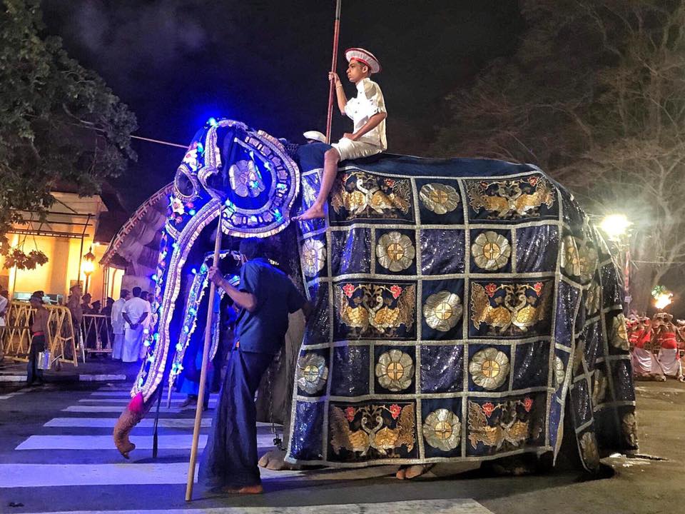 Tikiri is covered in a colourful costume as she takes part in the annual Esala Perahera parade in the Sri Lankan city of Kandy