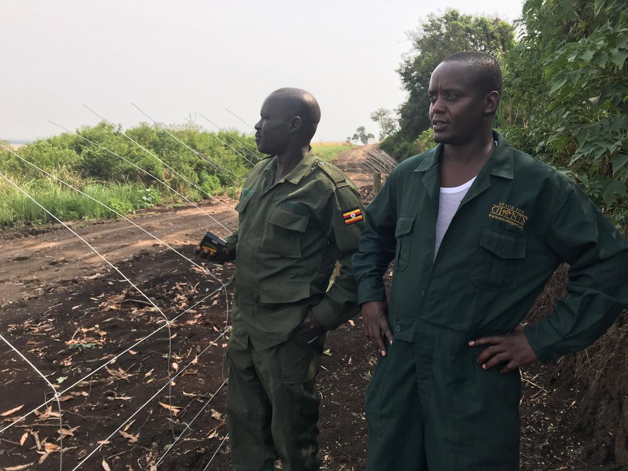 Space for Giants built the fence with the Uganda Wildlife Authority
