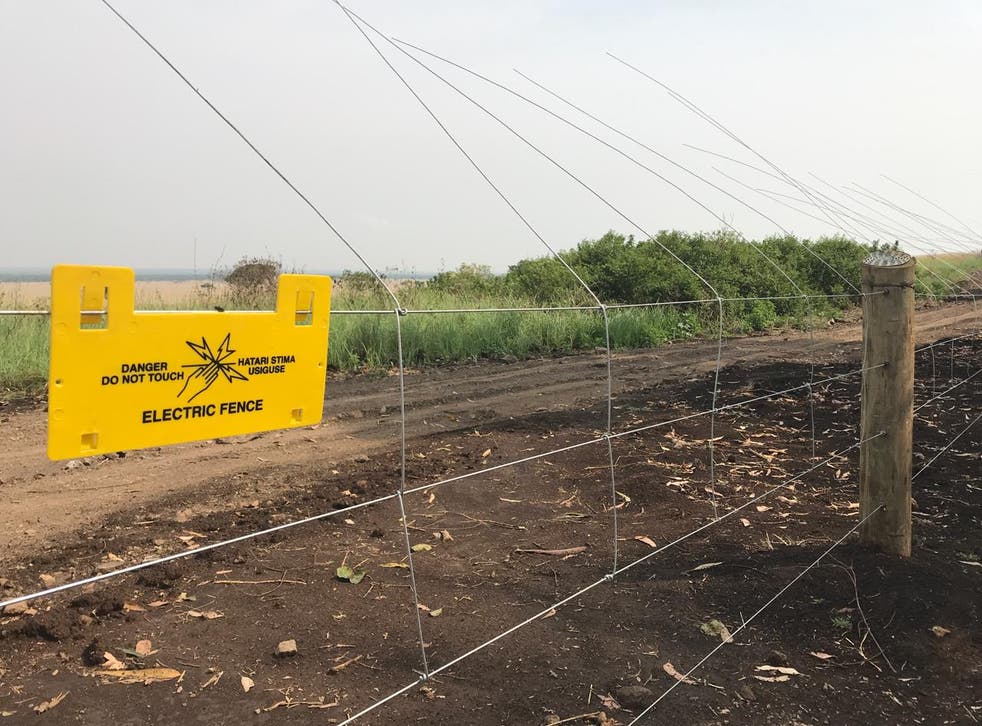 A new electrified fence is designed to keep elephants out of farms
