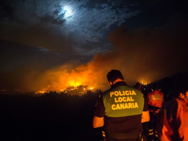 Firemen and policeman watch from the road the forested peaks of Valleseco engulfed in flames during the new forest fire that broke out just days after another blaze raged in the same area, in the Grand Canary Island of Spain, August 17, 2019.