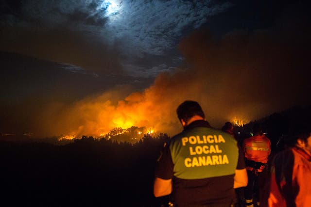 Firemen and policeman watch from the road the forested peaks of Valleseco engulfed in flames during the new forest fire that broke out just days after another blaze raged in the same area, in the Grand Canary Island of Spain, August 17, 2019.