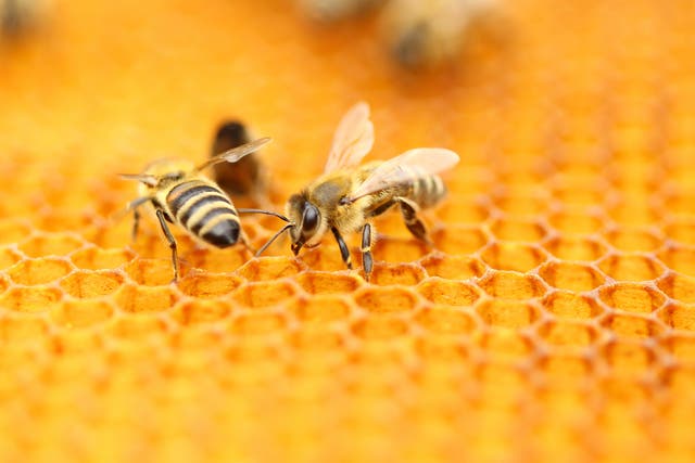 Shoppers are seeing a rise in honey at markets – but where is it coming from?