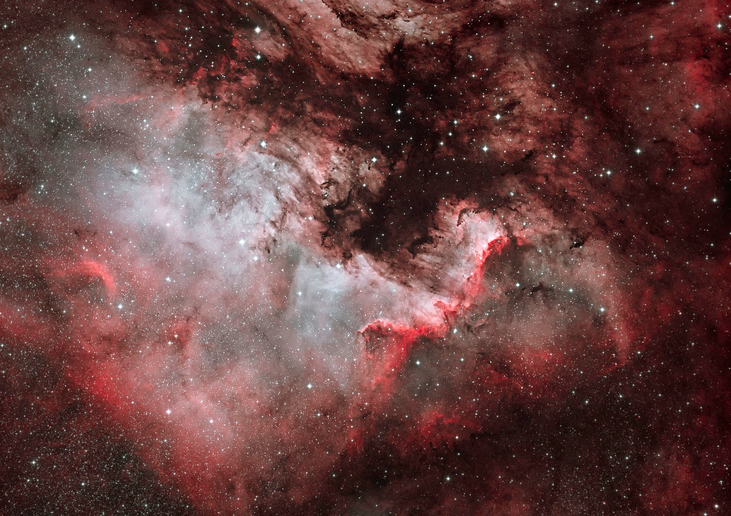 NGC7000 North American Nebula