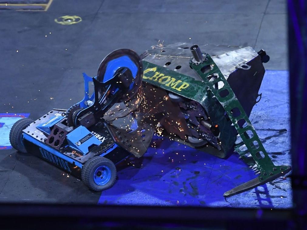 Dude best sale perfect battlebots