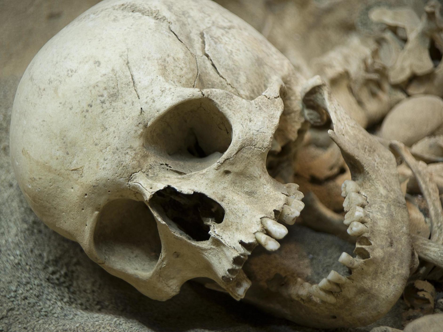 A Skull Bone Discovered in Greece May Alter the Story of Human