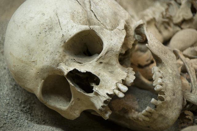 Anthropologists and scientists have studied the provenance of the human skeletons found in Roopkund Lake for decades