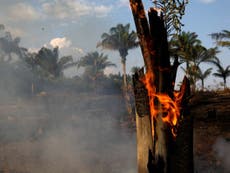 Bolsonaro makes bizarre, baseless claim about origin of Amazon fires