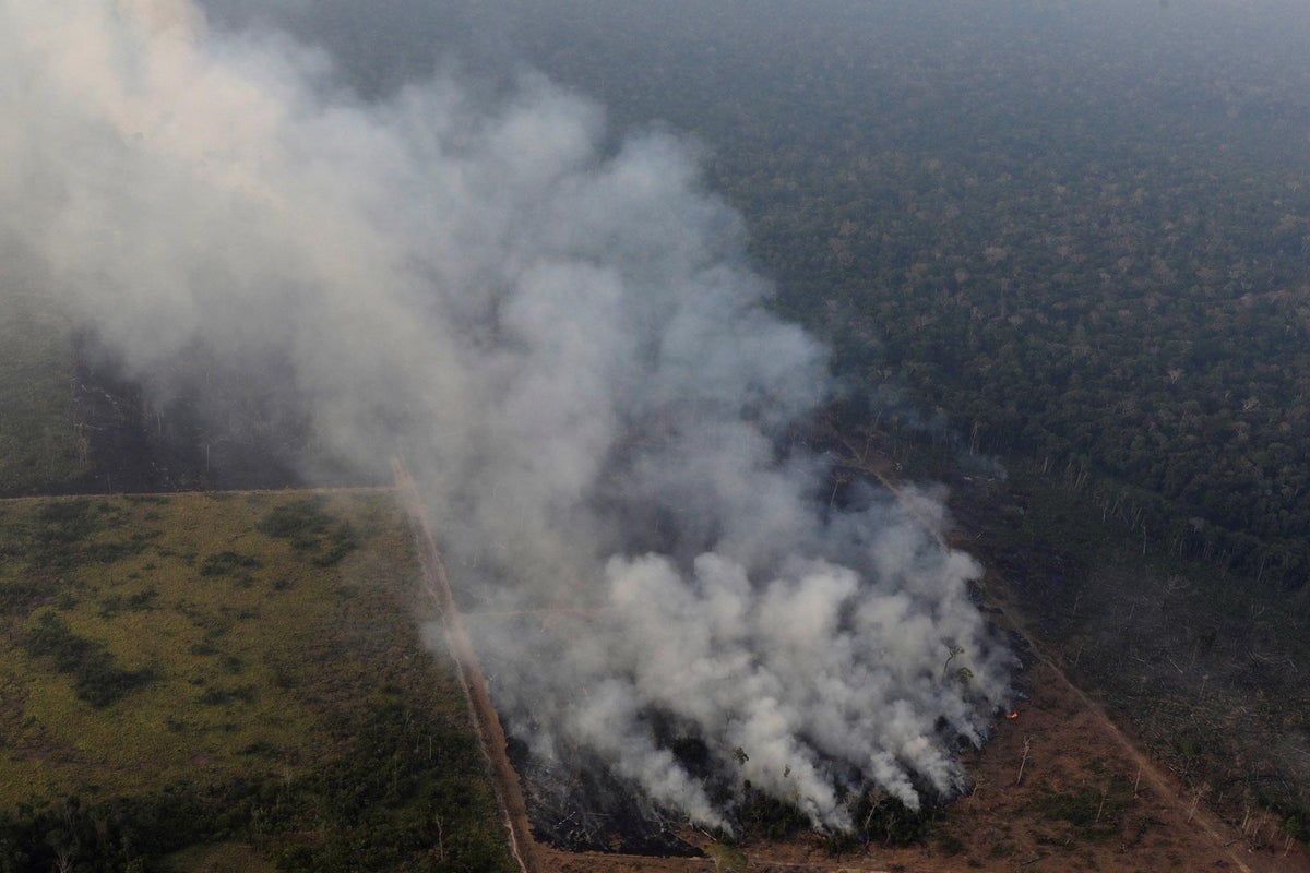 Amazon Rainforest Fires And Deforestation Approaching Disastrous Irreversible Tipping Point Scientists Warn The Independent The Independent