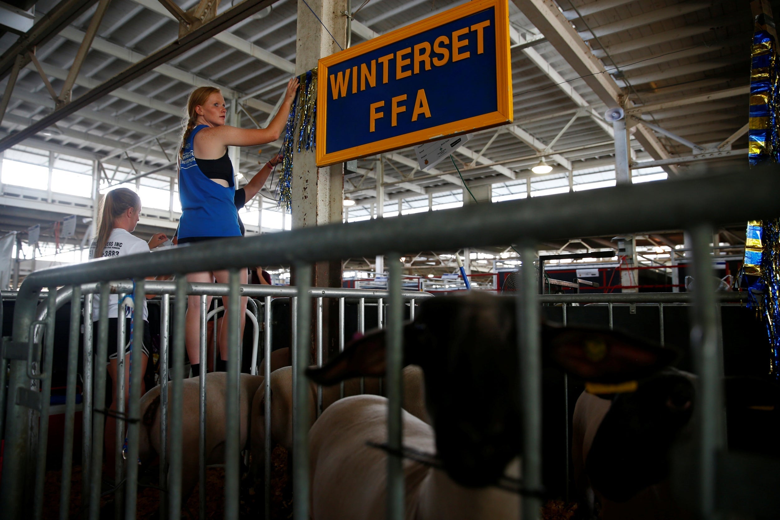 Preparations for the Iowa State Fair in Des Moines. The agricultural show’s ability to attract top politicians every year is testament to the power of the farming industry in the US
