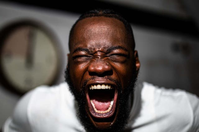 Deontay Wilder has vowed to knock out Luis Ortiz and Tyson Fury before targeting the other heavyweight titles