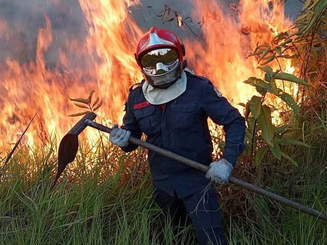 A firefighter battles against the fire in Rio Branco, in the Amazonian State of Acre.