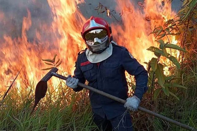 A firefighter battles against the fire in Rio Branco, in the Amazonian State of Acre.