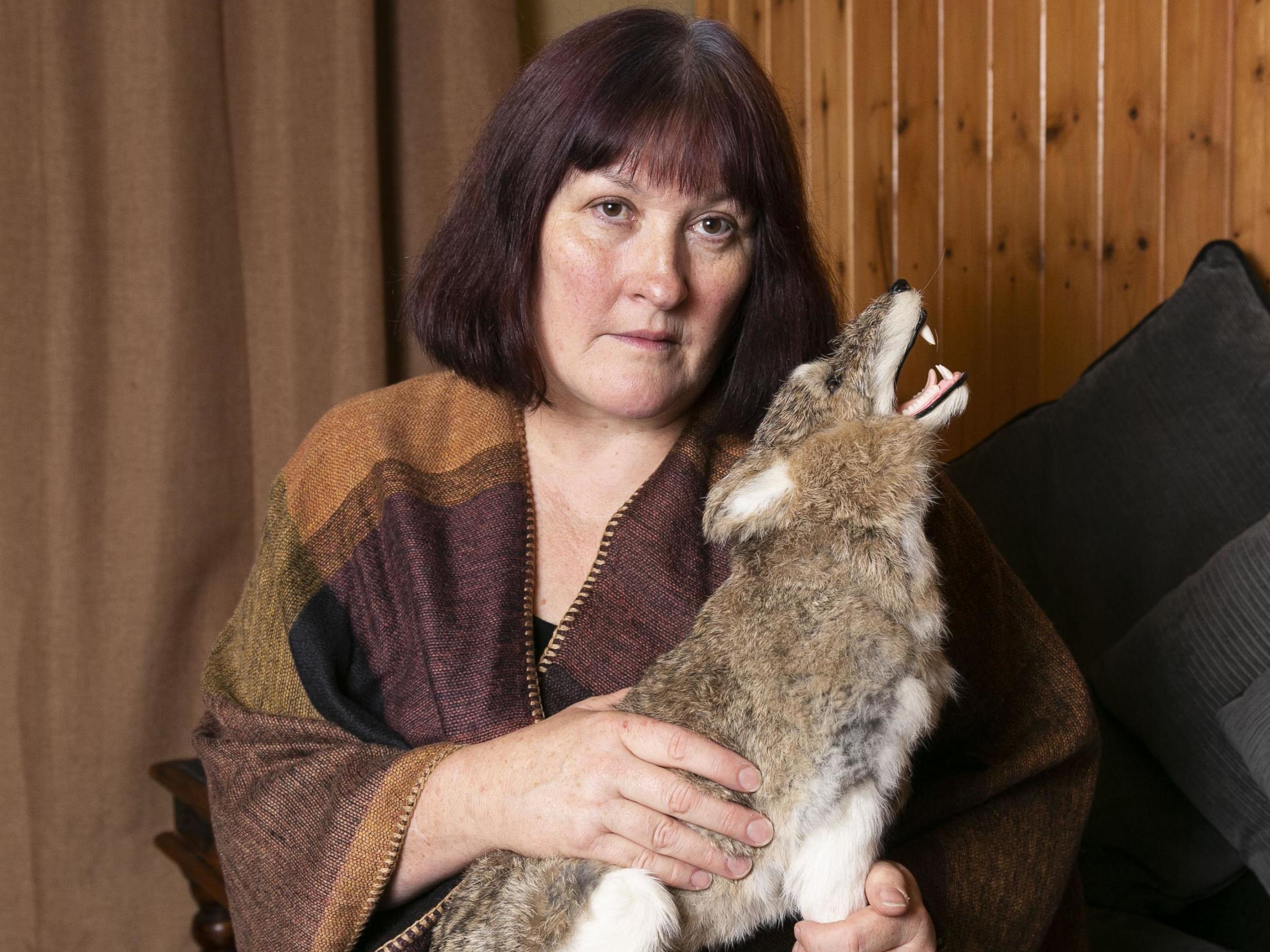 Susan Tate plead guilty to possessing dead animals taken from the wild after a toy wolf (pictured) sparked a police raid